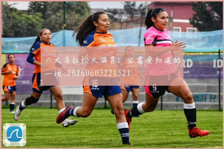 六大马拉松大满贯:你需要知道的一切_20260603221521