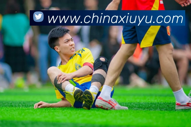 kaiyun网址APP 封面图